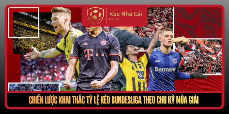 Tỷ Lệ Kèo Bundesliga Tại Kèo Nhà Cái - Đọc Kèo Theo Nhịp Trận 3 Chien Luoc Khai Thac Ty Le Keo Bundesliga Theo Chu Ky Mua Giai