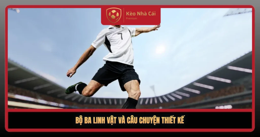 Bo Ba Linh Vt Va Cau Chuyen Thiet Ke1
